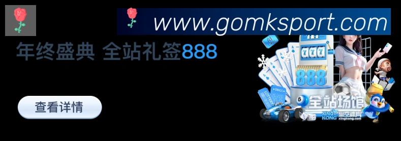 未来规划